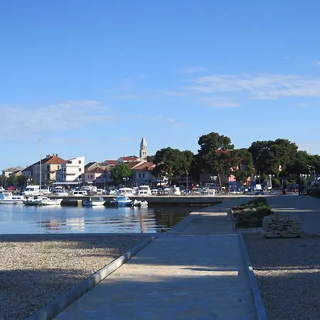 Amfora