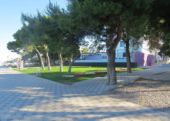 Amfora 비오그라드나모루